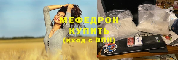 spice Богородск