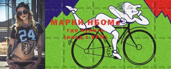 spice Богородск