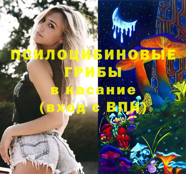 spice Богородск