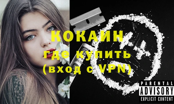 spice Богородск