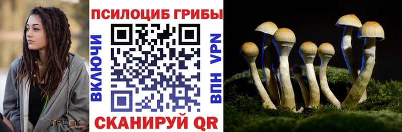 как найти наркотики  ОМГ ОМГ зеркало  Псилоцибиновые грибы GOLDEN TEACHER  Ижевск 